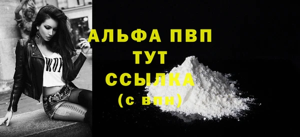 спиды Белокуриха