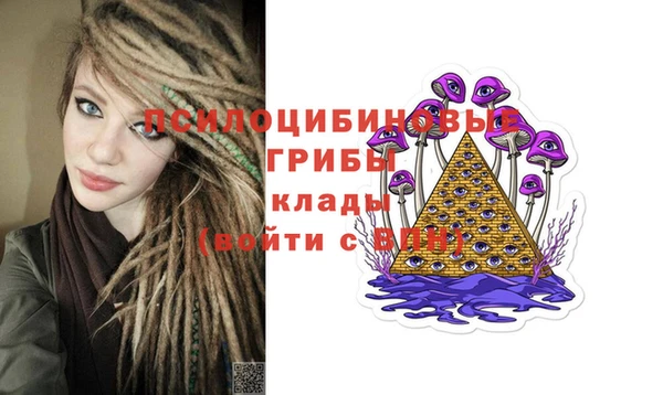 спиды Белокуриха