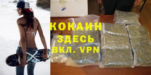 мяу мяу мука Беломорск