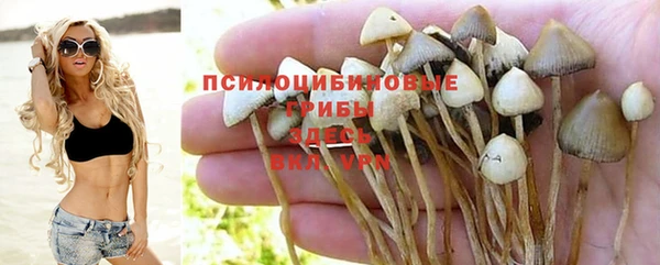мяу мяу мука Беломорск